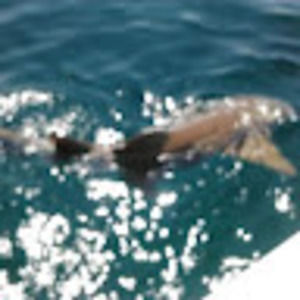 Meet your Posher, Warren